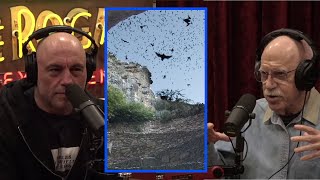 Bat Danger | Joe Rogan Experience w/ Merlin Tuttle