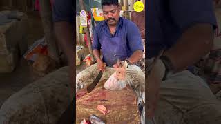 KASIMEDU SPEED SELVAM POMFRET FISH CUTTING VIDEO \ cutting focus #kasimeduselvam #bigfishcutting