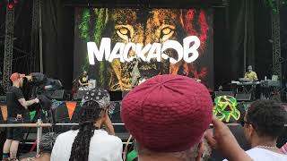 Macka B - Cucumba Lambeth Country Show 2023