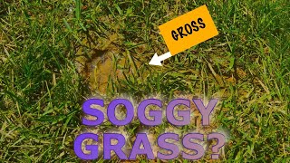 Soggy Grass?