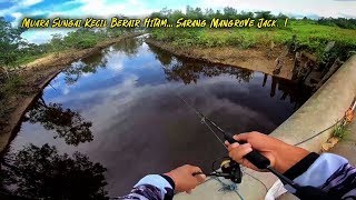 MANCING DI MUARA SUNGAI KECIL INI ISINYA IKAN KAKAP MANGROVE JACK DAN KAKAP PUTIH BARRAMUNDI