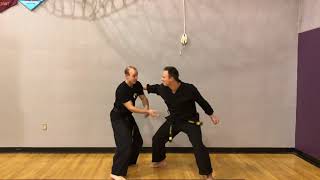 Heian Nidan Bunkai Flow Drill