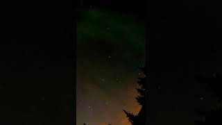 Mesmerizing Northern Lights! #auroraborealis #northernlights #nightsky #shootingstar #perseids