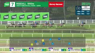 Hill Stakes 2024 - ATTRITION (3YO+ WFA G2) Group 2 Rosehill 12 October