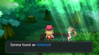 Pokémon X & Y Obtained an Item!