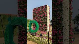 Ahmedabad Flower Show 2024