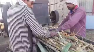 Modern Technique of extracting juice from sugarcane | Ganne Ka Ras |