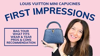 IMPULSE BUY OR WORTH IT?? Louis Vuitton Mini Capucines First Impressions & Review