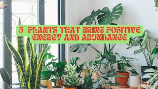 5  Plants for Abundance and Positive Energy #youtubevideos #fengshuiplants #indoorplants 🪴🌱🏡👩‍🌾