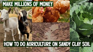 How to do agriculture using sandy clay soil