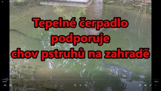 Tepelné čerpadlo  podporuje chov pstruhů na zahradě