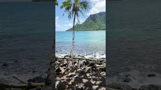 Can never beat this view #hawaii #scenery #fishing #vista #mountains