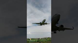 Japan Airlines Landing at Narita Airport