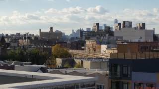 NYC tour (Brooklyn rooftop)