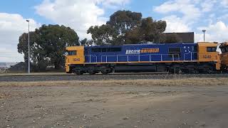 Pacific National Freight Trains Orange East Fork. 29 April 2021