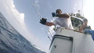 Eder Pina 1o White Marlin