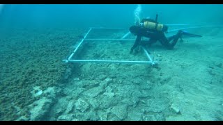 Descubren un camino prehistórico en las profundidades del Mar Adriático