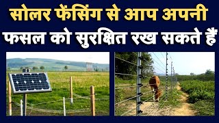 सोलर फेंसिंग से आप अपनी फसल को सुरक्षित रख सकते हैं || Solar Fencing Can Protect Your Crop