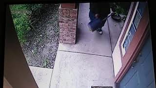 Man stole kumquat pots from porch 2