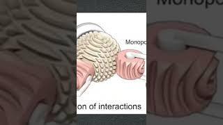 #physics #automobile #mechnism #machine #machinlearning #mechanical