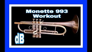 Monette 993 Workout