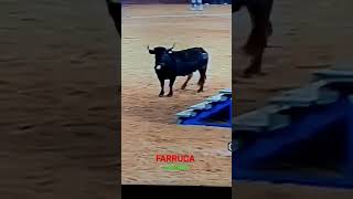 Vaca " FARRUCA " Lecris