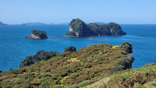 Cathedral cove New Zealand beach #beach #cathedral cove #newzealand