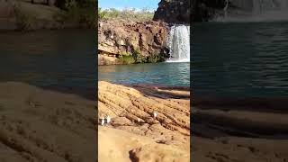 Borboletas na Cachoeira dos Macaquinhos #shorts