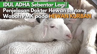 Kenali Lebih Jauh Wabah PMK pada Hewan Kurban jelang Hari Raya IDUL ADHA Yuk!