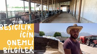 BESİCİLİĞE DAİR ÖNEMLİ BİLGİLER | SOHBET HAVASINDA