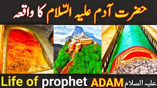 Prophet Adam Story in Urdu | Hazrat Adam As ka Waqia | Hazrat Adam Aur Hawa | Shafa-e-Mehshar