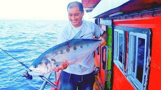 Talang gergasi karang payung