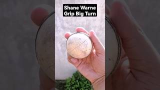 Shane Warne's Epic Spin Bowling: Unlocking the Secrets of the Leg Spin, Flipper & Googly #shorts