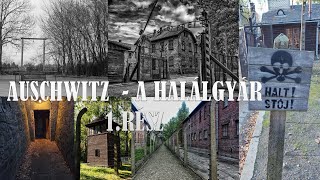 Auschwitz  - A Halálgyár  1.Rész