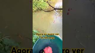 10 peixes de uma vez 😱😱.