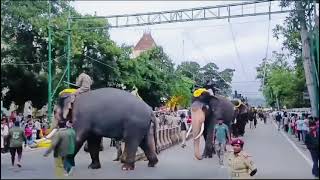 Mysore dasara 2024 gajapayana,|| Mysore Dasara Elephant 🐘 Rounds 2024 Bheema  Abhimanyu