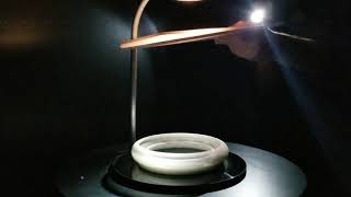 Oddly Satisfying Rotating 3D Printed Object Under Strobe Light!