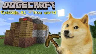 Dogecraft Episode #1 - New world