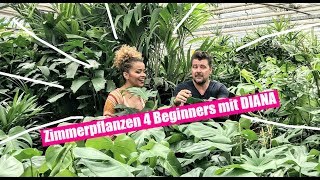 Zimmerpflanzen for Beginners! Monstera oder Banane - die angesagtesten Trendpflanzen für Zuhause