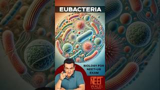 Eubacteria | Biological Classification | Kingdom Monera | Class 11th| NEET BIOLOGY | #neet #biology