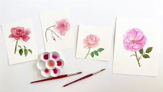 Beyond Beginner: Tips and Tricks to Level Up Your Watercolors a Skillshare Class