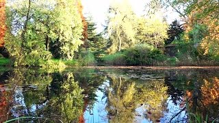 Herfst in het von Gimborn Arboretum in Doorn