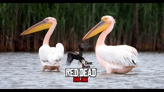 Red Dead Online - Cooked Seasoned Exotic Bird