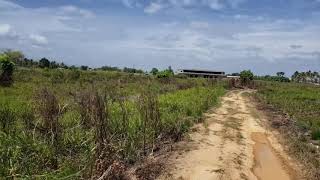 2 Acres(#48) Agricultural Land in Caroni/Kelly Village Area. Beautiful Corner plot. 747-5423