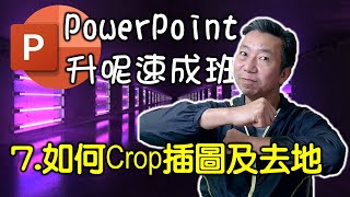 7. PowerPoint 如何Crop 插圖及去地?