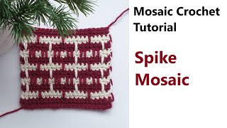 Mosaic Basics - Spike Mosaic Crochet