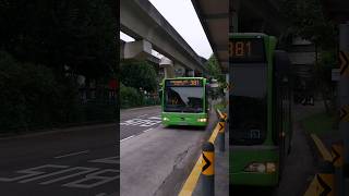 SBS6505Y 381 arriving Coral Edge Stn Exit A #sgbuses