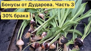 Бонусы от Дударова. Часть 3. Брак 30%.