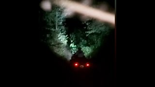 can am renegade , stels guepard, cf moto 1000 , night driving off road