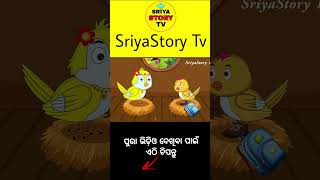 School ku samaste phone aniba #birdstories #cartoon #majagapaodia